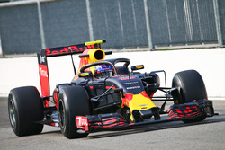 Max Verstappen, Red Bull Racing RB12, mit Cockpitschutz Halo