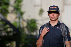 Max Verstappen, Red Bull Racing