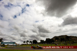 David Reynolds, Erebus Motorsport Holden