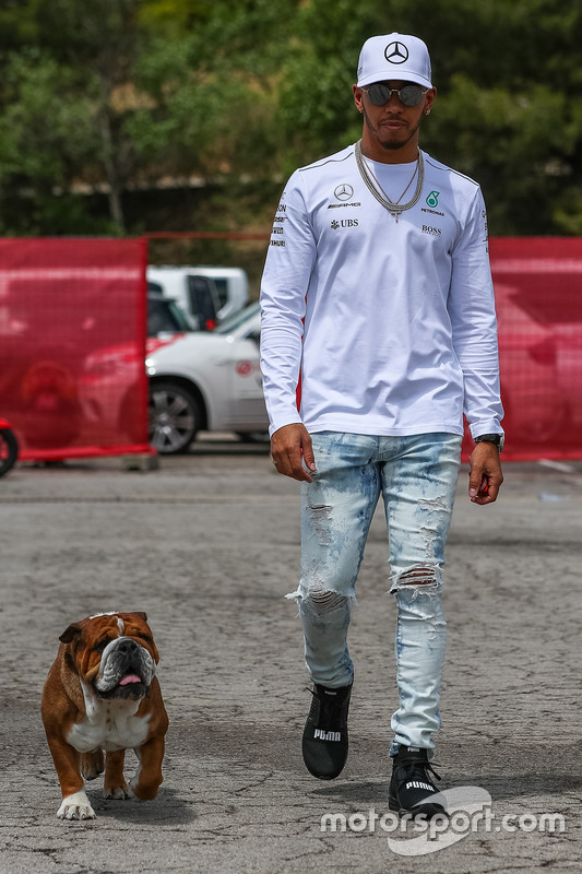 Lewis Hamilton, Mercedes AMG F1, his dog Roscoe