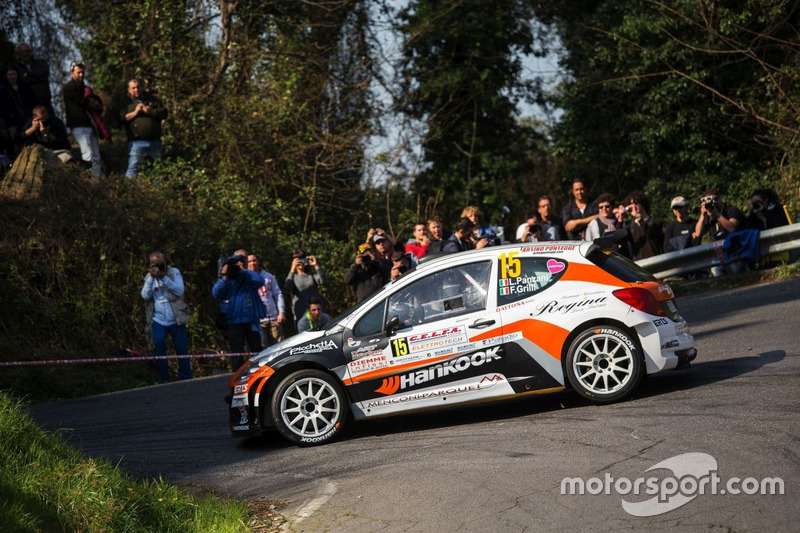 Luca Panzani, Peugeot 207 Super 2000