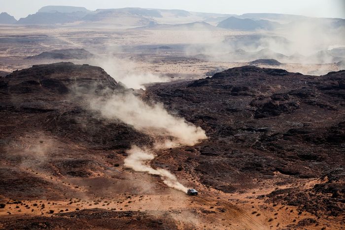 #225 Ford M-Sport Ford: Carlos Sainz Sr, Lucas Cruz