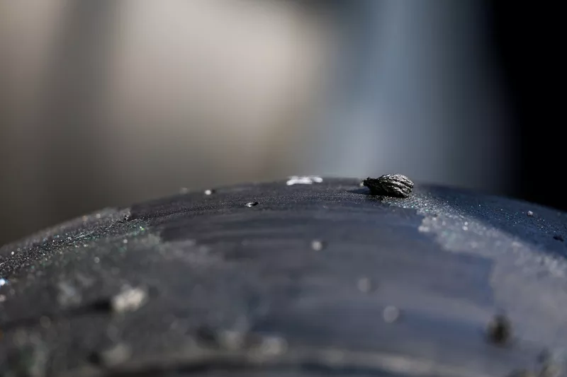 Detalles de los neumáticos Pirelli