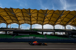 Pierre Gasly, PREMA Racing
