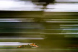 Stoffel Vandoorne, McLaren MCL32
