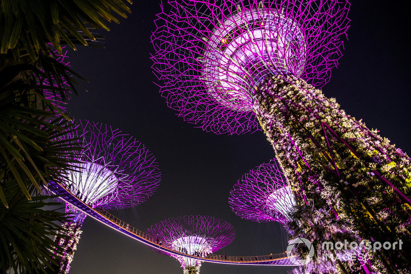 Supertree Grove in Singapur