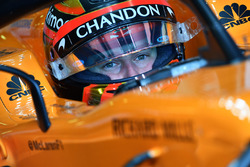 Stoffel Vandoorne, McLaren MCL33