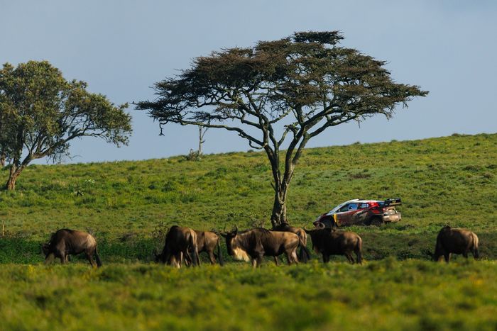 Sébastien Ogier, Vincent Landais, Toyota Gazoo Racing WRT Toyota GR Yaris Rally1