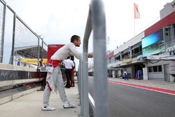 Adrien Tambay, Audi Sport Team Rosberg, Audi RS 5 DTM