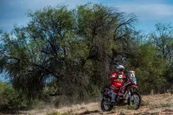 #81 Himoinsa Racing Team KTM: Rosa Romero