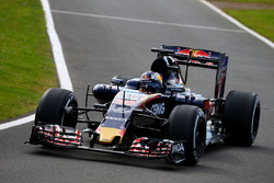 Sette Camara, Scuderia Toro Rosso STR11