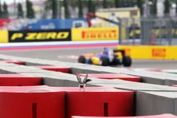 Felipe Nasr, Sauber C35 pasa un pájaro