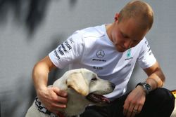 Valtteri Bottas, Mercedes AMG F1 W08 con un perro