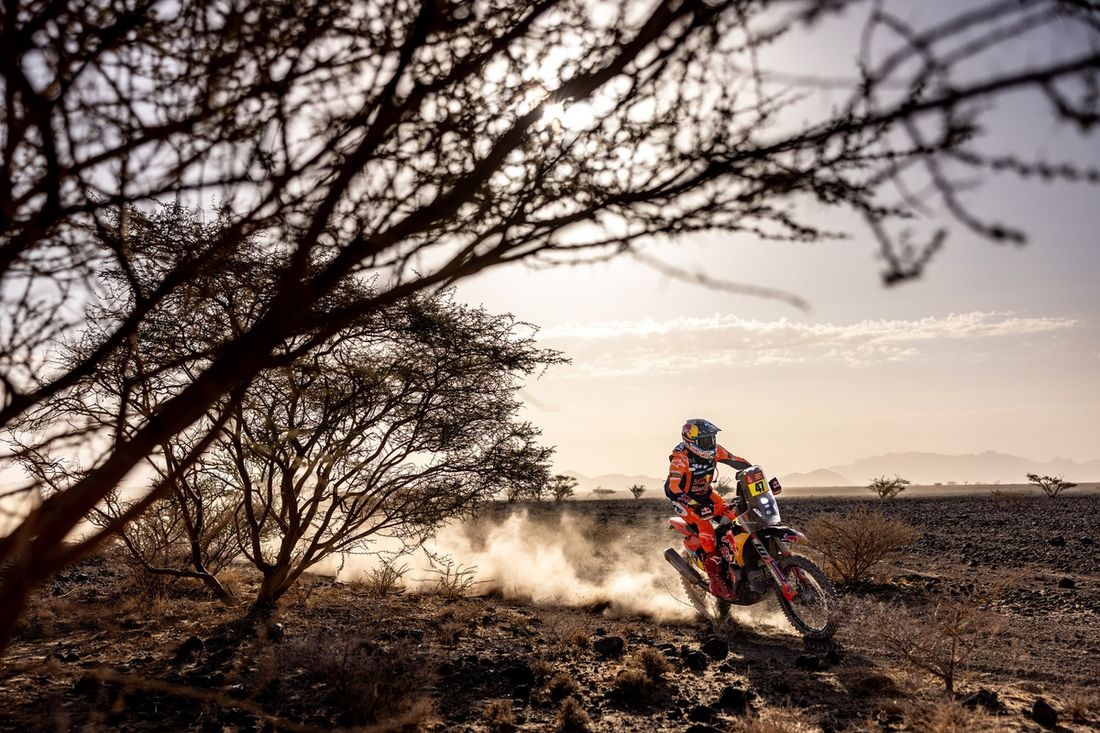 #47 Red Bull KTM Factory Racing KTM: Kevin Benavides