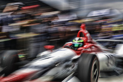 Conor Daly, Dale Coyne Racing dba Thom Burns Racing Honda