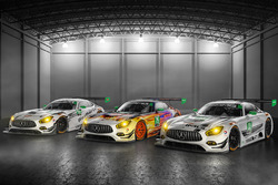 #50 команди Riley Motorsports Mercedes AMG GT3, #75 команди SunEnergy1 Riley Motorsports Mercedes AM