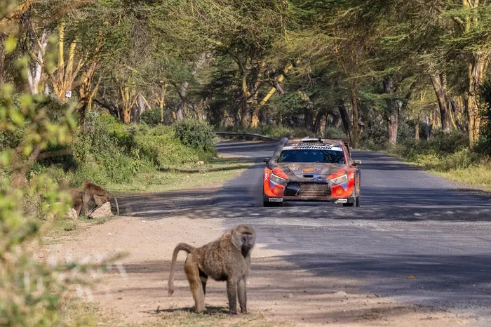 Ott Tänak, Martin Järveoja, Hyundai World Rally Team Hyundai i20 N Rally1