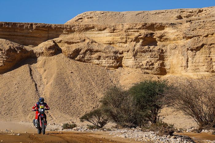 #11 Monster Energy Honda Team 2022: Jose Ignacio Cornejo Florimo