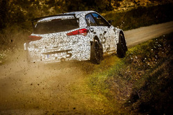 Test Hyundai i20 R5