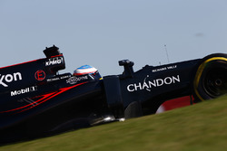 Фернандо Алонсо, McLaren MP4-31