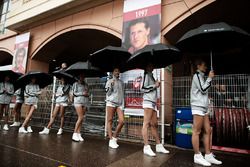 Grid girls