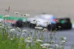 Lance Stroll, Williams FW41