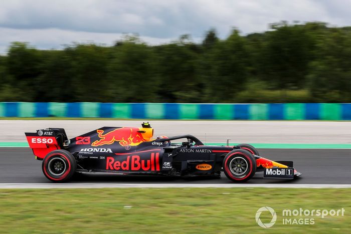 Alex Albon, Red Bull Racing RB16