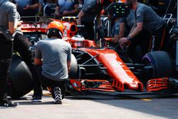 Stoffel Vandoorne, McLaren MCL32