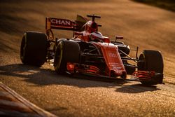 Stoffel Vandoorne, McLaren MCL32