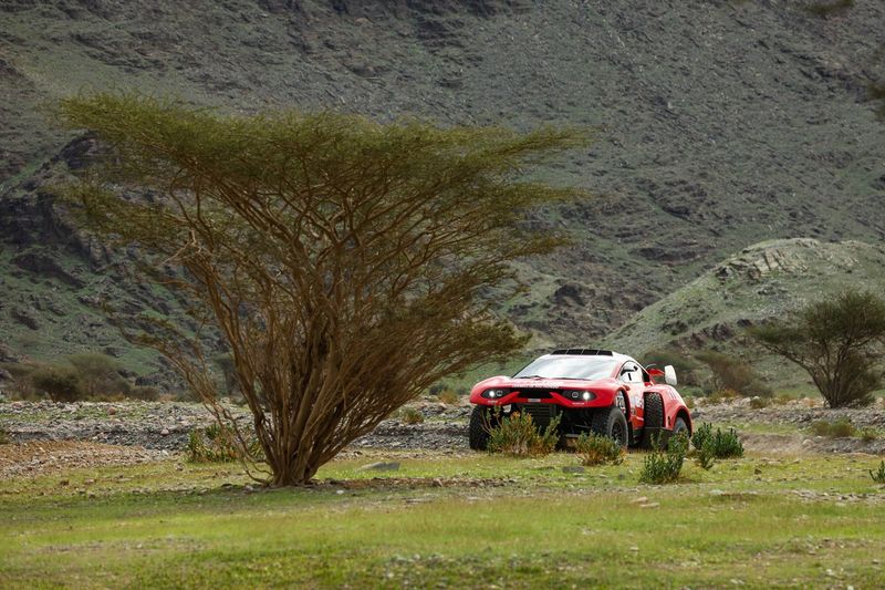 #208 Bahrain Raid Xtreme Prodrive: Orlando Terranova, Alex Haro Bravo