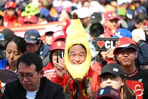 Un fan disfrazado de plátano