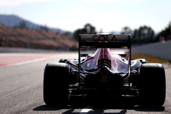 Max Verstappen, Scuderia Toro Rosso STR11