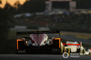 #31 Action Express Racing Cadillac DPi, P: Eric Curran, Felipe Nasr, Gabby Chaves