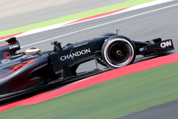 Stoffel Vandoorne, McLaren MP4-31 Test- en reservecoureur