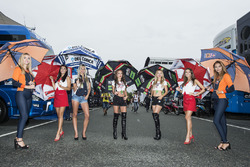Des Grid Girls