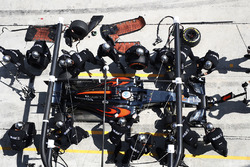 Fernando Alonso, McLaren MP4-31
