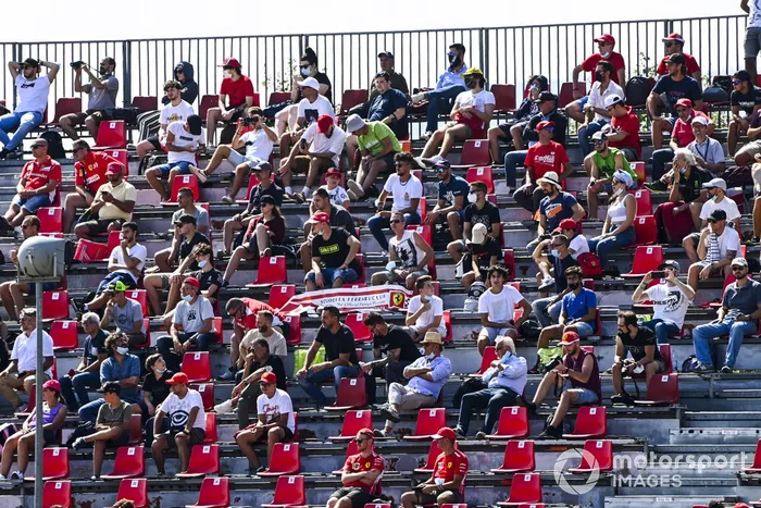 Fans en las tribunas