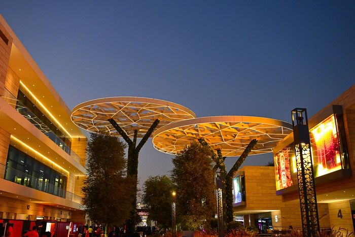 Vista general del Paddock