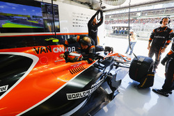 Стоффель Вандорн, McLaren MCL32