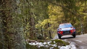 Rally de Suecia: SS8