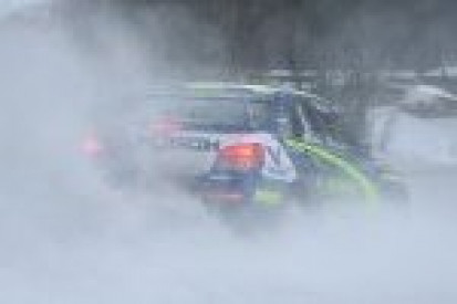 Kuzaj pokazuje plecy