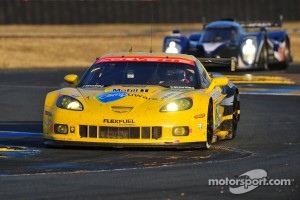 #73 Corvette Racing Chevrolet Corvette C6 ZR1: Olivier Beretta, Tom Milner, Antonio Garcia