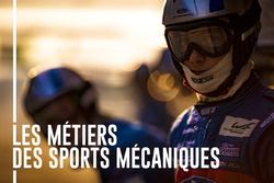 Infographies de la saison 2017