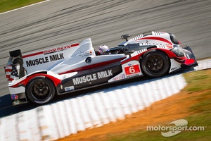 #6 Muscle Milk Pickett Racing HPD ARX-03a Honda: Lucas Luhr, Klaus Graf, Romain Dumas