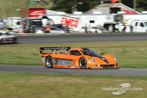 #3 8Star Motorsports Corvette DP: Enzo Potolicchio, Stéphane Sarrazin, Michael Valiante