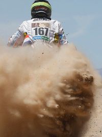 Alle Fotos