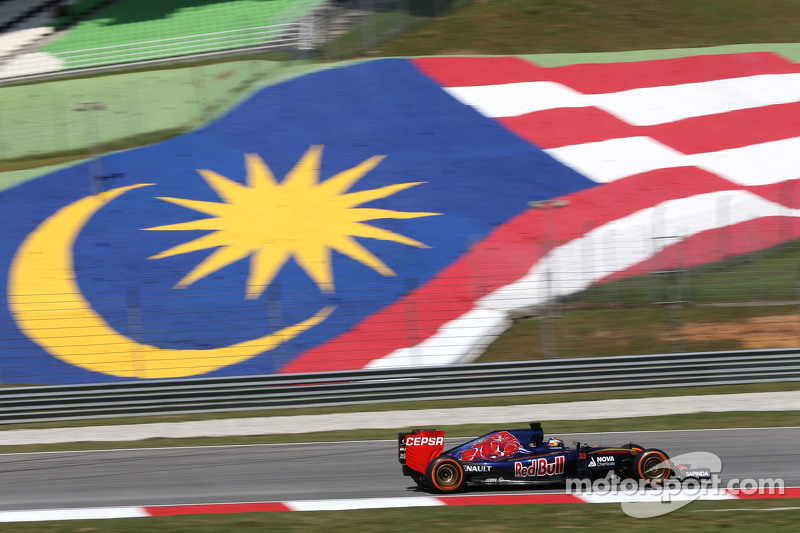 Max Verstappen, Scuderia Toro Rosso