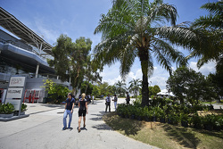 The paddock