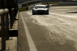 Nico Müller, Audi Sport Team Rosberg Audi RS 5 DTM