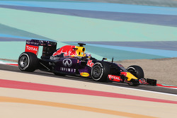 Daniel Ricciardo, Red Bull Racing RB11